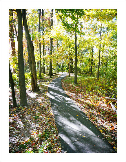 Hamptons Newsletter